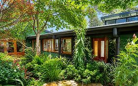 The Black Cockatoo - Secret Garden Treetops Home